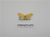 藏品(鉤弧紋豔苔蛾)的圖片